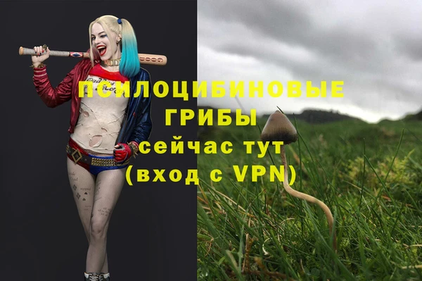 гашишное масло Красноперекопск